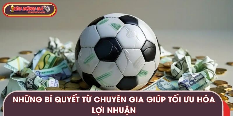 Những bí quyết từ chuyên gia giúp tối ưu hóa lợi nhuận