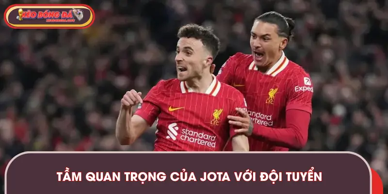 Tầm quan trọng của anh với các đội tuyển